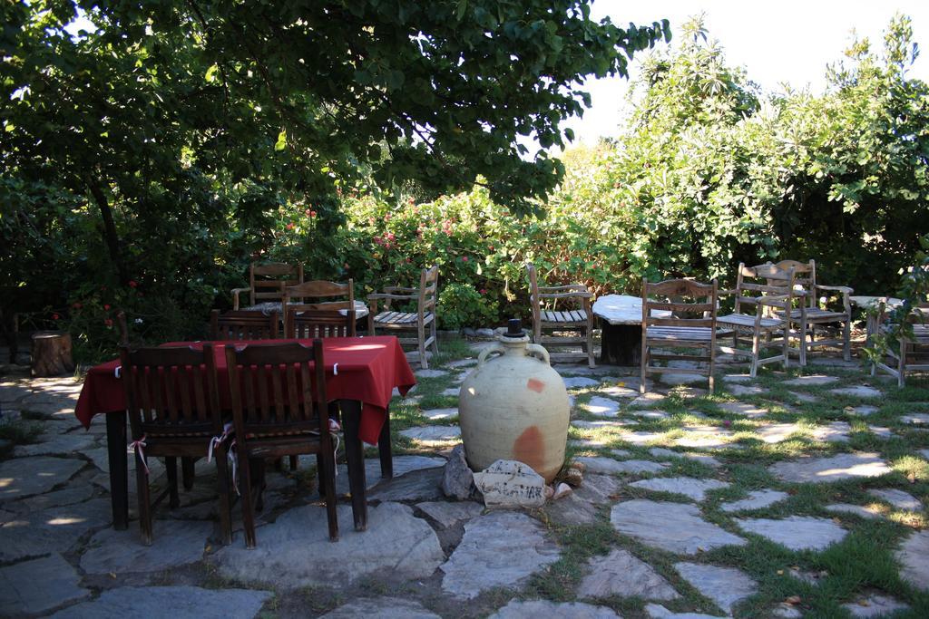 Hoppala Pension 닷차 외부 사진